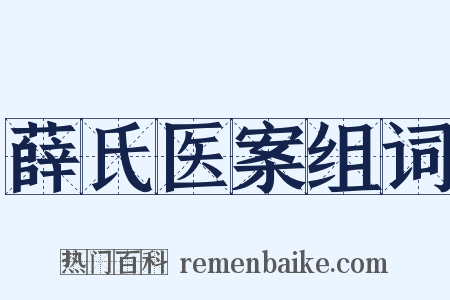 薛氏医案组词是什么意思的图片